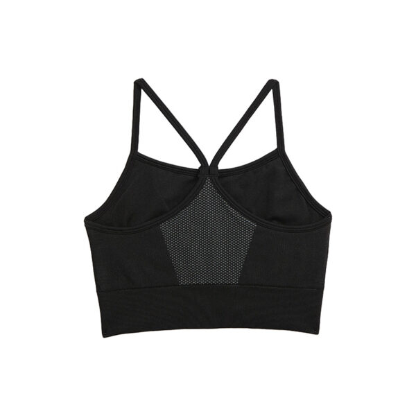 FIT Sports Bra